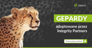 Gepardy adoptowane przez Integrity Partners